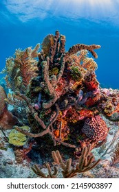 Caribbean Coral Reef Off Coast Island Stock Photo 2145903897 | Shutterstock