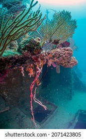 Caribbean coral reef side of sunken boat off coast of Roatan