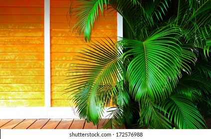 Caribbean house - Shutterstock ID 172576988