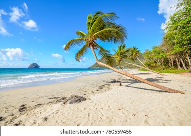 Plage Martinique High Res Stock Images Shutterstock