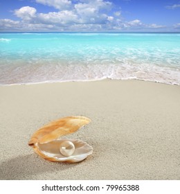 Caribbean Pearl Inside Clam Shell Over White Sand Beach [Photo Illustration]