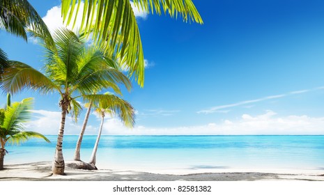 Tropical Paradise Hd Stock Images Shutterstock