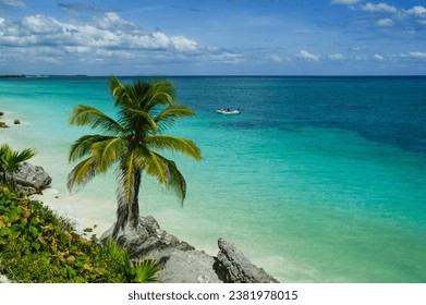 Caribbean Sea and the Palm from the Beach in Tulum National Park, Quintana Roo, Yucatan, Mexico