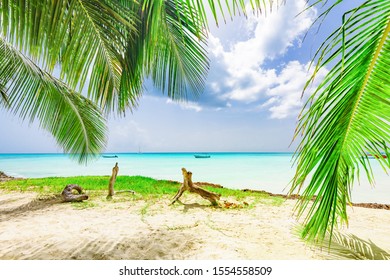 Plage Palmier Mer Images Stock Photos Vectors Shutterstock