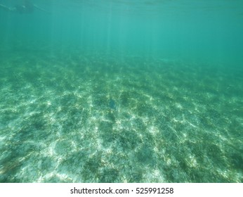 caribbean sea split level