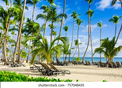 Caribbean Sea View, Bavaro Beach, Punta Cana, Dominican Republic