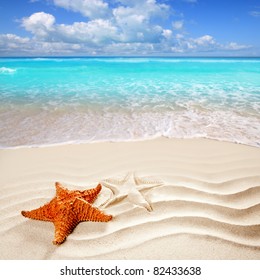 Caribbean Starfish Over Wavy White Sand Beach Such A Summer Vacation [Photo Illustration]