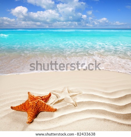 Caribbean starfish over wavy white sand beach such a summer vacation [Photo Illustration]