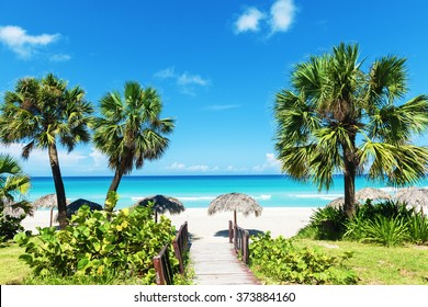 Caribbean white sand beach - Shutterstock ID 373884160
