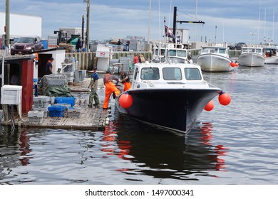 Caribou, Nova Scotia / Canada - June 24, 2019 -  Fishing Boats Unloading The Catch Of The Day