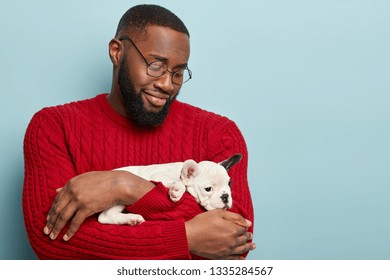 Caring dark skinned male defender of animal rights, picked up puppy on street, carries to animal shelter, has affectionate look, wears spectacles and red sweater, isolated over blue background