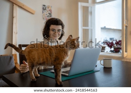 Caring loving smiling teen girl sitting at table, looking at beloved breed cat Devon Rex diverting girl attention from freelance work on laptop computer. Girl making break for pet caressing, stroking