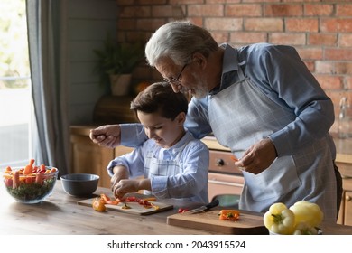 Caring mature grandfather in glasses teaching little grandson to cut vegetables, happy senior grandpa with 8s boy child wearing aprons cooking salad, spending leisure time weekend in kitchen together - Powered by Shutterstock