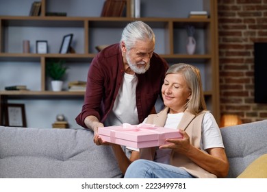 Caring Old Husband Giving Romantic Birthday Present To Excited Mature Wife, Loving Older Man Surprise Happy Middle Aged Woman, Open Pink Box, Kiss, Hug Husband, Celebrating Together