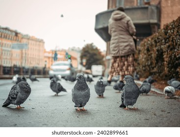 A caring woman feeds pigeons and birds. A caring woman and homeless birds on the street. Caring for homeless animals and birds.