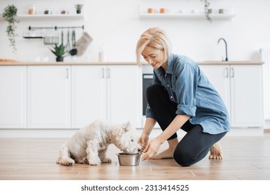 Caring young woman in denim shirt and yoga pants putting dog bowl with breakfast for white furry pet on room floor. Affectionate female owner providing best care for little animal in home interior. - Powered by Shutterstock
