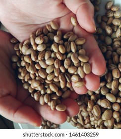 
Carioca Bean Placed On Both Hands