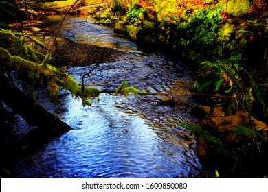 80 Carkeek Park Images, Stock Photos & Vectors | Shutterstock