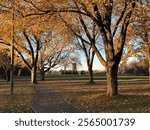 Carleton University in the distance - Ottawa Ontario Canada 