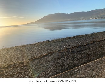 Carlingford Lough At Low Tide