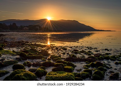 Carlingford Lough Sunrise From Warrenpoint 