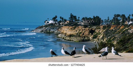 Carlsbad, California Beach
