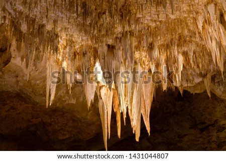 Carlsbad Caverns - A limestone cavern known as the Carlsbad Cave, of extraordinary proportions and of unusual beauty and variety of natural decoration. 