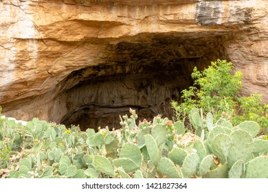 Carlsbad Caverns National Park, New Mexico, USA. Chihuahuan Desert. Situated In A Bed Of Limestone Above Groundwater Level. Deep Below The Limestones Are Petroleum Reserves.