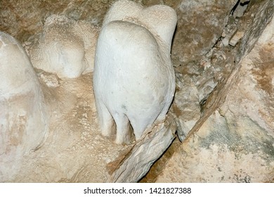 Carlsbad Caverns National Park, New Mexico, USA. Chihuahuan Desert. Situated In A Bed Of Limestone Above Groundwater Level. Deep Below The Limestones Are Petroleum Reserves.