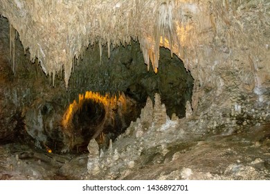 Carlsbad Caverns National Park, New Mexico, USA / May 25,2019: Chihuahuan Desert. Situated In A Bed Of Limestone Above Groundwater Level. Deep Below The Limestones Are Petroleum Reserves.