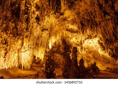 Carlsbad Caverns National Park, New Mexico, USA / May 25,2019: Chihuahuan Desert. Situated In A Bed Of Limestone Above Groundwater Level. Deep Below The Limestones Are Petroleum Reserves.