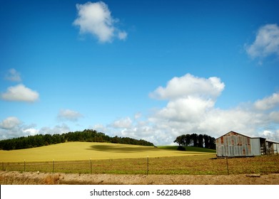 Carlton Landscape