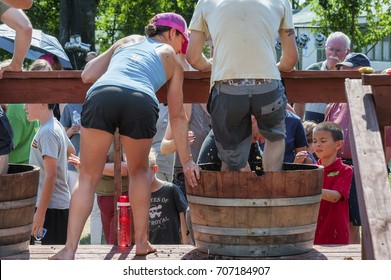 Carlton, Oregon,USA - September 12, 2015:Contestants Stomp Grapes In Barrels At Carlton's Annual Wine Crush Harvest Festival In Yamhill County's Wine Country In Oregon.