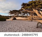 Carmel Beach in Carmel-by-the-Sea, California.