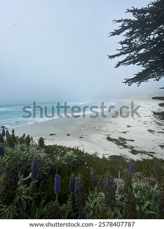 Similar – Image, Stock Photo coastal fog California