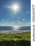 Carmel beach, a long and wide white sand beach. It is one of the most iconic spots on California