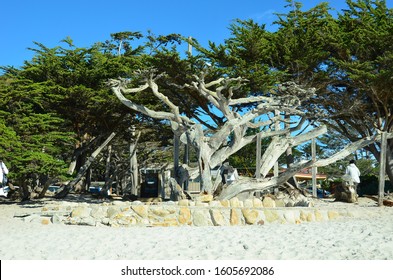 Carmel, Monterey Peninsula, California, USA