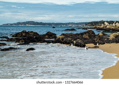 Carmel River State Beach High Res Stock Images Shutterstock
