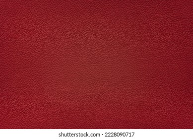 Carmine red color leather texture.