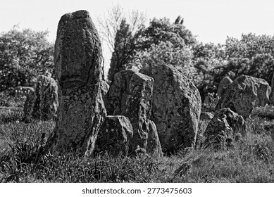 The Carnac alignments comprise thousands of Neolithic standing stones in Brittany. This world-renowned prehistoric site remains a haunting mystery, showcasing ancient engineering on a grand scale.
