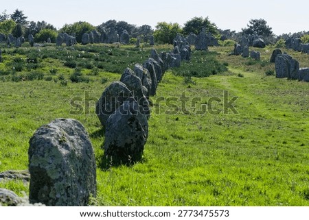 The Carnac alignments comprise thousands of Neolithic standing stones in Brittany. This world-renowned prehistoric site remains a haunting mystery, showcasing ancient engineering on a grand scale.