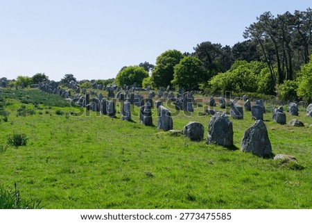 The Carnac alignments comprise thousands of Neolithic standing stones in Brittany. This world-renowned prehistoric site remains a haunting mystery, showcasing ancient engineering on a grand scale.