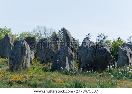 The Carnac alignments comprise thousands of Neolithic standing stones in Brittany. This world-renowned prehistoric site remains a haunting mystery, showcasing ancient engineering on a grand scale.