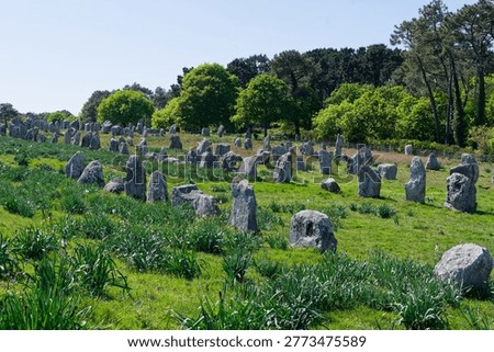 The Carnac alignments comprise thousands of Neolithic standing stones in Brittany. This world-renowned prehistoric site remains a haunting mystery, showcasing ancient engineering on a grand scale.