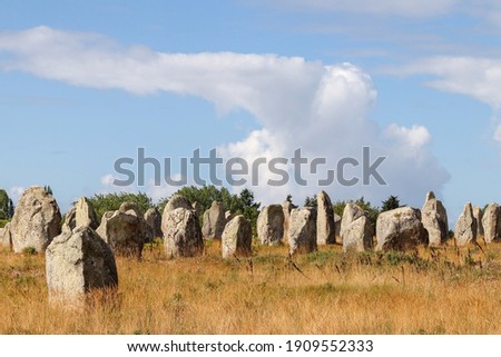 Carnac stones - Alignments of Kermario - rows of menhirs in Brittany, France