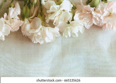 Carnation flower in soft and vintage tone style - Shutterstock ID 665135626