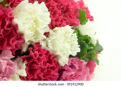 Carnations Bouquet On White Background 