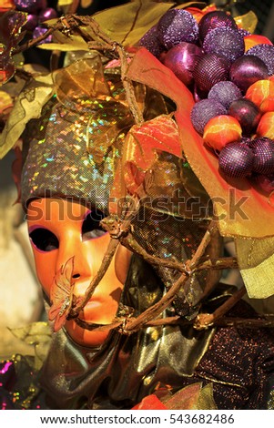 Carnival costume and mask at carnival in Venice