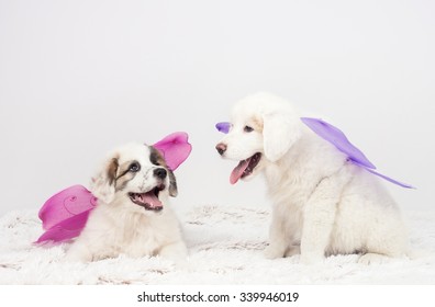 Carnival mastiff puppies dog wearing fairy wings.