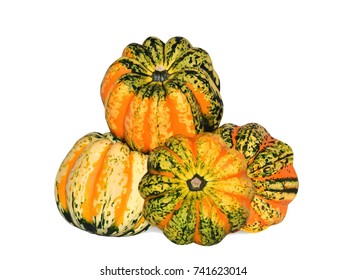 1,306 Carnival squash Images, Stock Photos & Vectors | Shutterstock